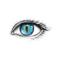 Chromatics Entertainment logo - Similar company to Tmrc Impact - Narrative Acuity