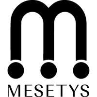 Mesetys logo - Similar company to Ouvrage.Eu