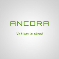 AncoraLj logo - Similar company to Tab Systems