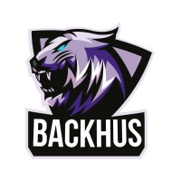 Backhus BDE logo - Similar company to Responsive