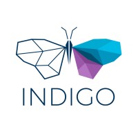 Indigo Innovations Inc logo - Similar company to Byu Product Management Association