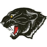 Syne Research logo - Similar company to Unbrkble