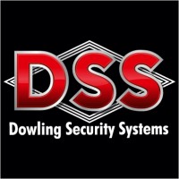 Dowling Security Systems logo - Similar company to Bc Security Ltd
