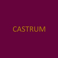 Castrum Capital logo - Similar company to Adminiserv Limited