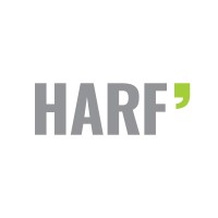 Harf logo - Similar company to Protocol-Iraq