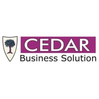 Cedar Business Solutions logo - Similar company to Nox Media