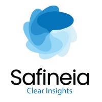 Safineia Partners logo - Similar company to Screenbridge