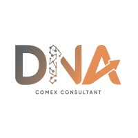 DNA Comex Consultant logo - Similar company to Rt Data