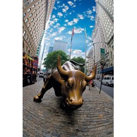 Bull Run Capital logo - Similar company to Fernhill Corp