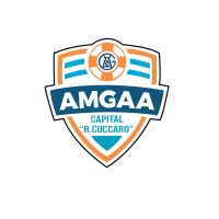AMGAA Capital logo - Similar company to Veritas Creative Media