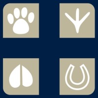 Blue Cross Veterinary Hospital logo - Similar company to Hope Veterinary Care