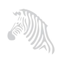 NANETS logo - Similar company to Neuroendocrine Tumor Research Foundation