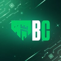Binary Castle Scientific Club logo - Similar company to Pajiniweb