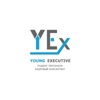 Young Executive logo - Similar company to Zenklick Solution
