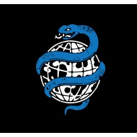 Viper Visuals