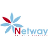 NetWay Corp logo - Similar company to Super Vision