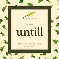evergreens (Now Untill) logo - Similar company to Barkz
