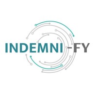 Indemni-FY logo - Similar company to Nirph Online (Pty) Ltd