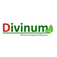 Divinum logo - Similar company to Divinum S.A.
