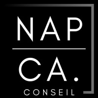 NAPCA Conseil logo - Similar company to Digitalissime.