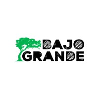 Bajo Grande
