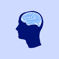Mg-Brain Consultora
