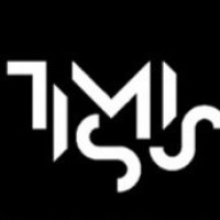 TIMISS logo - Similar company to Serendipity Institute For Black Arts And Heritage
