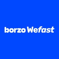 Borzo India logo - Similar company to Pidge
