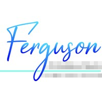 Ferguson Consulting Limited logo - Similar company to Dts Engineering, Inc