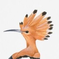 Selenite Studio logo - Similar company to Geiger Media