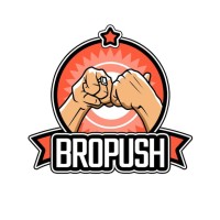 BroPush - Reliable Advertising Network logo - Similar company to Armour