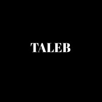 TALEB logo - Similar company to Numericall Mt