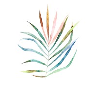 Wildflora logo - Similar company to Timeless Luxury La