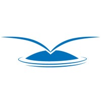 In STEPPS logo - Similar company to Ndidi Okafor