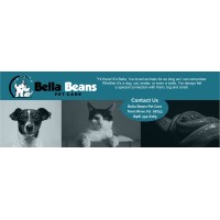 Bella Beans Pet Care logo - Similar company to Gold Coast Pet Care Llc