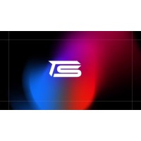 Tech Savvies logo - Similar company to Tech Savvies