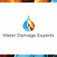 Water Damage Experts logo - Similar company to Restortech
