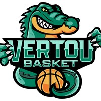 Vertou Basket logo - Similar company to O Connection