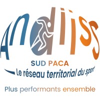 Andiiss Sud Paca logo - Similar company to Andiiss