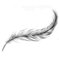 Silver Feather Consultants Inc.