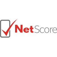 NetScore logo - Similar company to Netvade | Netsuite Experts