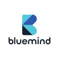 Bluemind logo - Similar company to Transfer Pricing Digital
