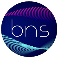 BNS logo - Similar company to Qmark Solutions