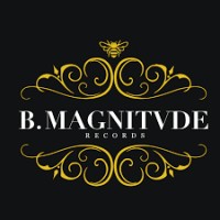 B Magnitvde Records logo - Similar company to Secure Technologies Group Inc