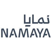 Namaya Investment logo - Similar company to Implicit Advisory Limited