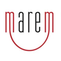 ONG MAREM logo - Similar company to Deepgray Vision