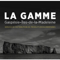 La GAMME Gaspésie-Îles-de-la-Madeleine logo - Similar company to Cnr Eclairage