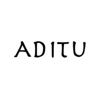 Aditu logo - Similar company to Aditu