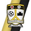Tewkesbury Town Colts logo - Similar company to Crossed Wires