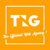 The Net Group logo - Similar company to Le Cab' Com